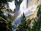 rainbows_2013_05_Lower_Falls_Yellowstone_National_Park.jpg: 193k (2007-10-19 07:37)