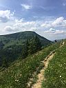 vfatra_2017_mb_img_5108.jpg: 140k (2017-06-25 12:57)