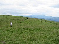 velka_fatra_2018_zs_img_5715.jpg: 154k (2018-06-15 12:11)