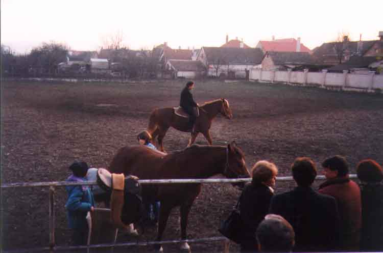 If picture is not shown here, it probably doesnot exist for this quality ... (choose another quality)