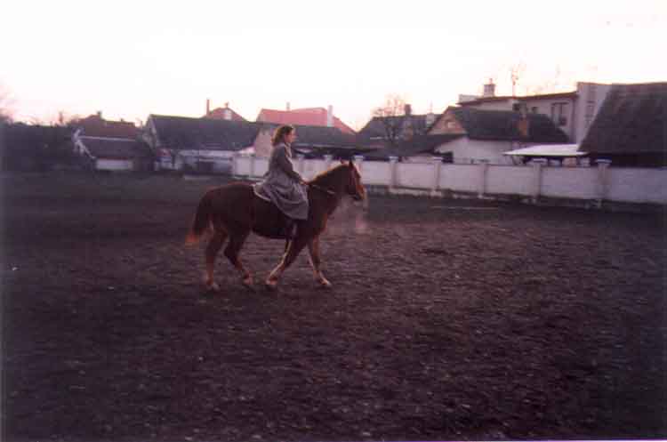 If picture is not shown here, it probably doesnot exist for this quality ... (choose another quality)