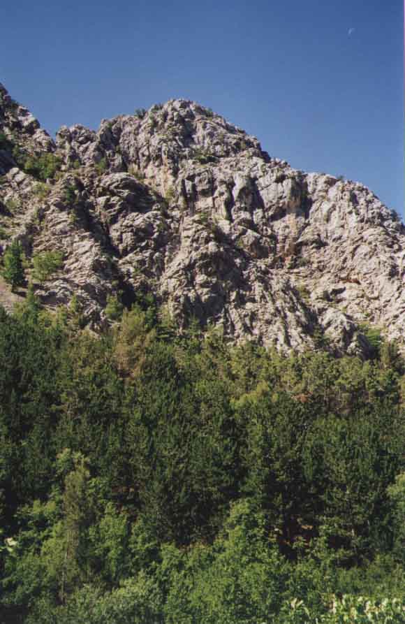 If picture is not shown here, it probably doesnot exist for this quality ... (choose another quality)