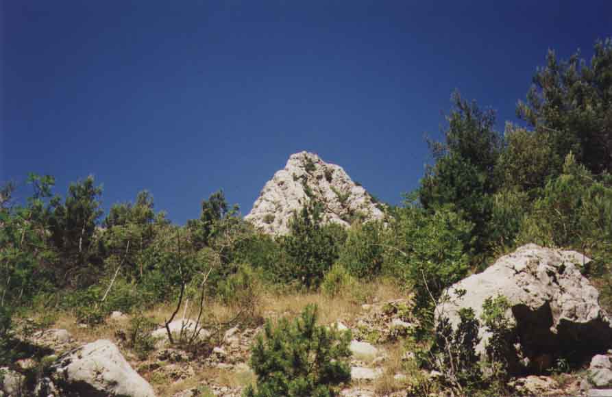 If picture is not shown here, it probably doesnot exist for this quality ... (choose another quality)