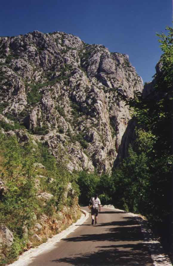 If picture is not shown here, it probably doesnot exist for this quality ... (choose another quality)