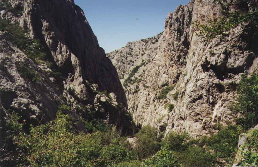 If picture is not shown here, it probably doesnot exist for this quality ... (choose another quality)