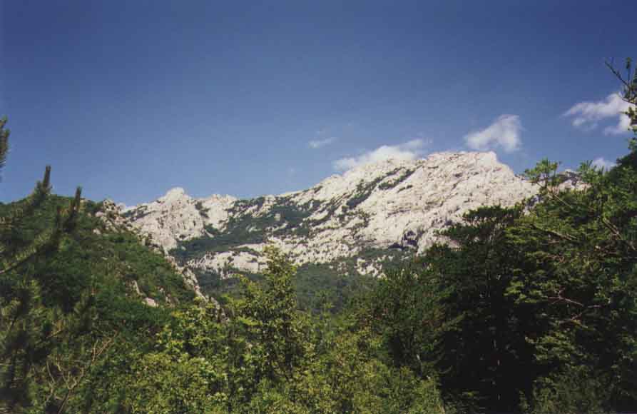 If picture is not shown here, it probably doesnot exist for this quality ... (choose another quality)