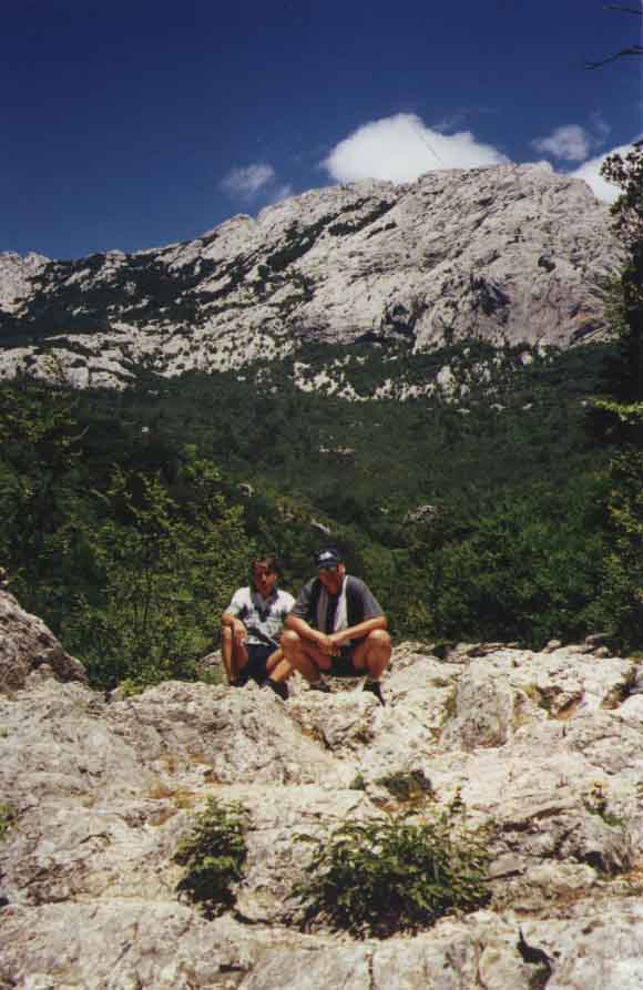 If picture is not shown here, it probably doesnot exist for this quality ... (choose another quality)