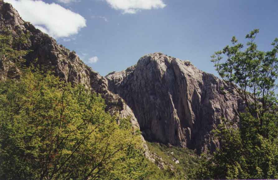 If picture is not shown here, it probably doesnot exist for this quality ... (choose another quality)