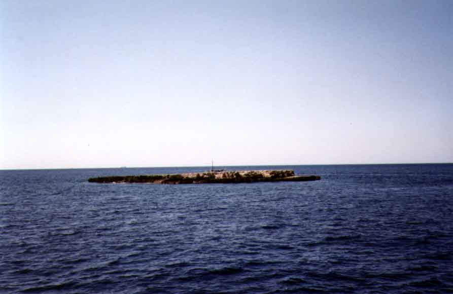 If picture is not shown here, it probably doesnot exist for this quality ... (choose another quality)