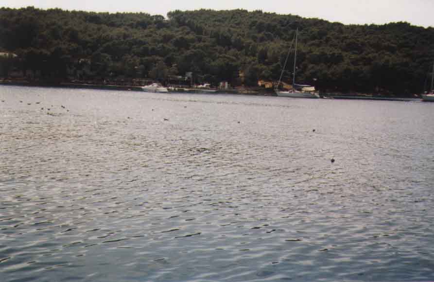 If picture is not shown here, it probably doesnot exist for this quality ... (choose another quality)