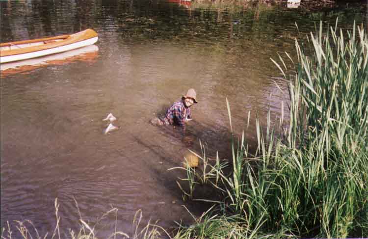 If picture is not shown here, it probably doesnot exist for this quality ... (choose another quality)