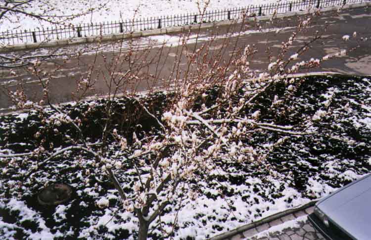 If picture is not shown here, it probably doesnot exist for this quality ... (choose another quality)