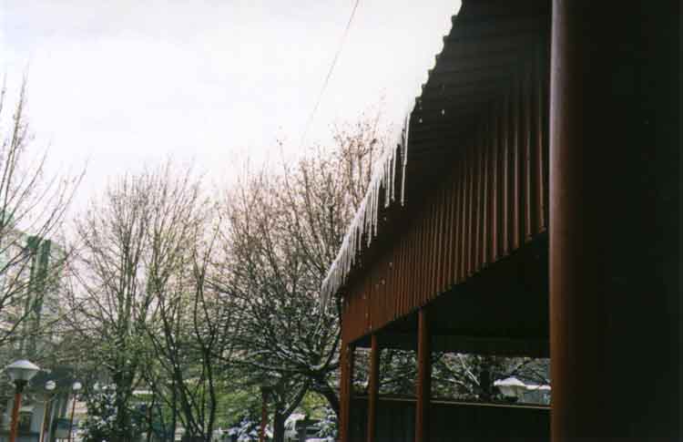 If picture is not shown here, it probably doesnot exist for this quality ... (choose another quality)