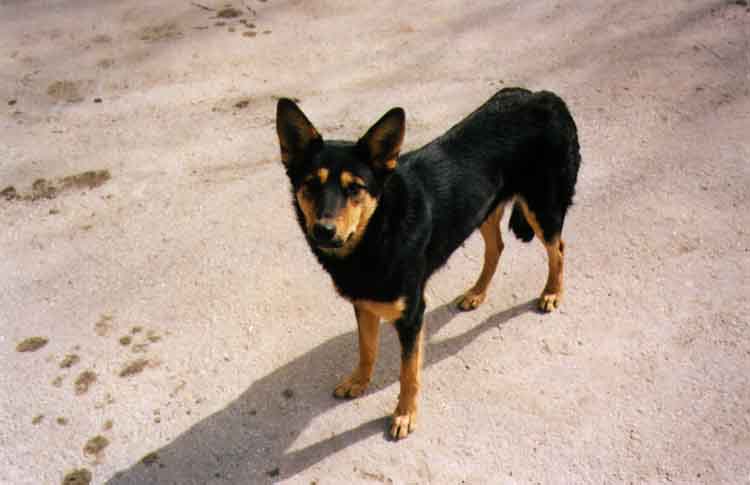 If picture is not shown here, it probably doesnot exist for this quality ... (choose another quality)