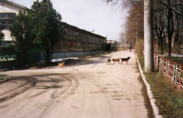 If picture is not shown here, it probably doesnot exist for this quality ... (choose another quality)