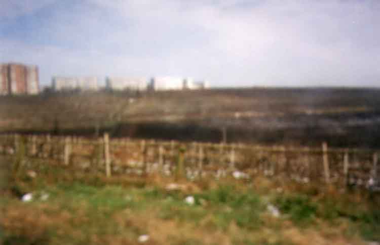 If picture is not shown here, it probably doesnot exist for this quality ... (choose another quality)