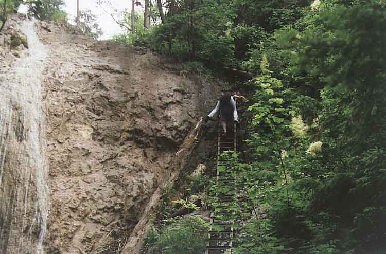 If picture is not shown here, it probably doesnot exist for this quality ... (choose another quality)