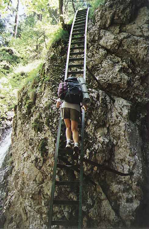 If picture is not shown here, it probably doesnot exist for this quality ... (choose another quality)