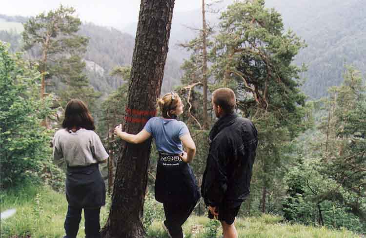 If picture is not shown here, it probably doesnot exist for this quality ... (choose another quality)