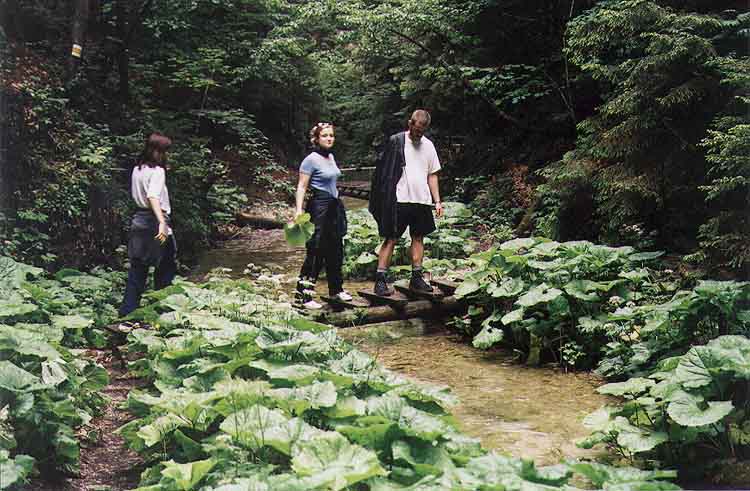 If picture is not shown here, it probably doesnot exist for this quality ... (choose another quality)