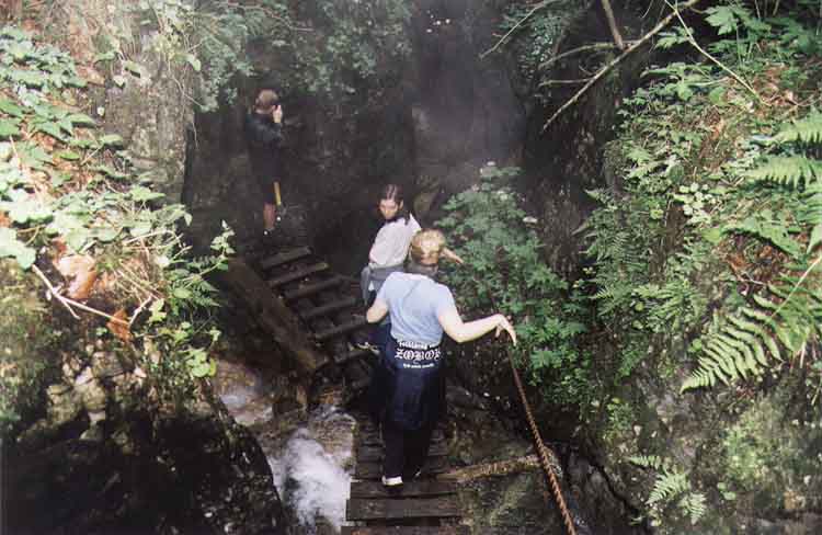 If picture is not shown here, it probably doesnot exist for this quality ... (choose another quality)