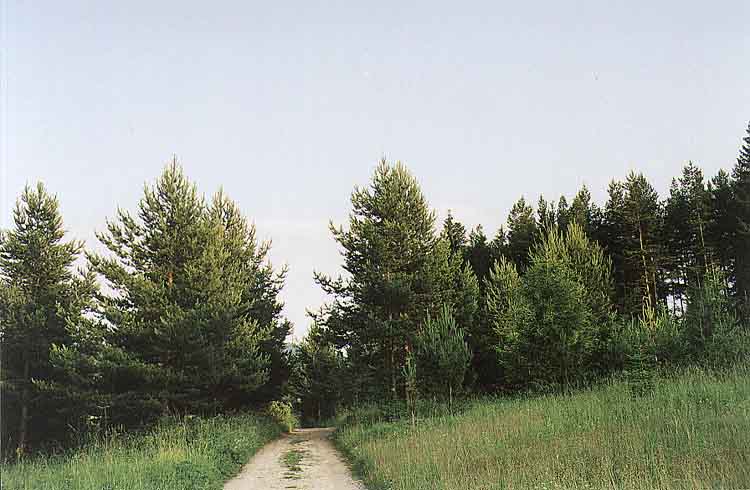 If picture is not shown here, it probably doesnot exist for this quality ... (choose another quality)