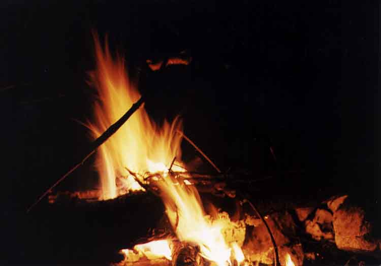 If picture is not shown here, it probably doesnot exist for this quality ... (choose another quality)