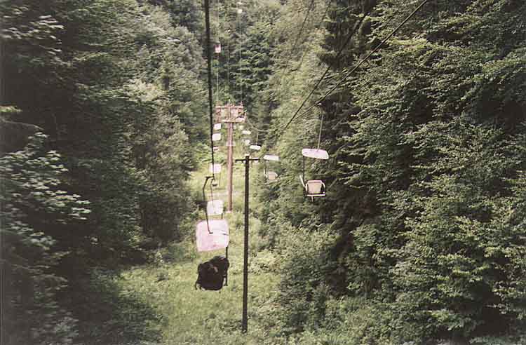 If picture is not shown here, it probably doesnot exist for this quality ... (choose another quality)