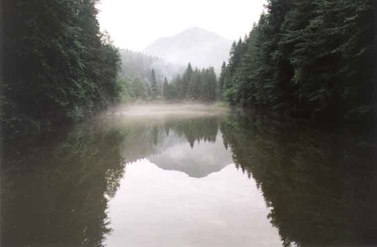 If picture is not shown here, it probably doesnot exist for this quality ... (choose another quality)