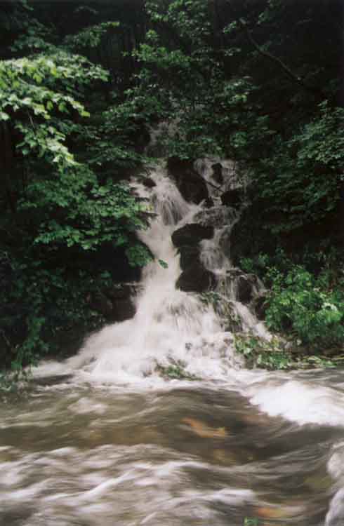 If picture is not shown here, it probably doesnot exist for this quality ... (choose another quality)