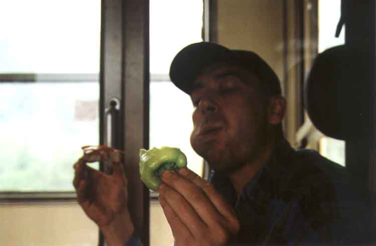 If picture is not shown here, it probably doesnot exist for this quality ... (choose another quality)