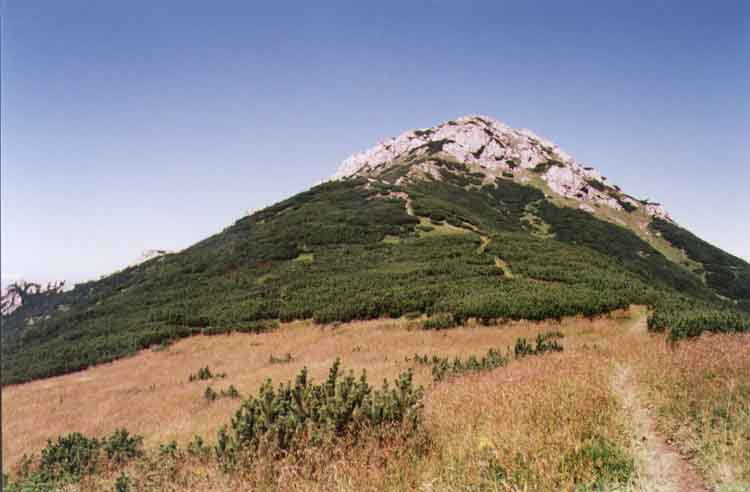 If picture is not shown here, it probably doesnot exist for this quality ... (choose another quality)