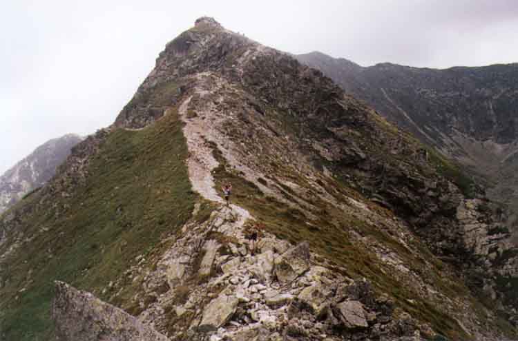 If picture is not shown here, it probably doesnot exist for this quality ... (choose another quality)