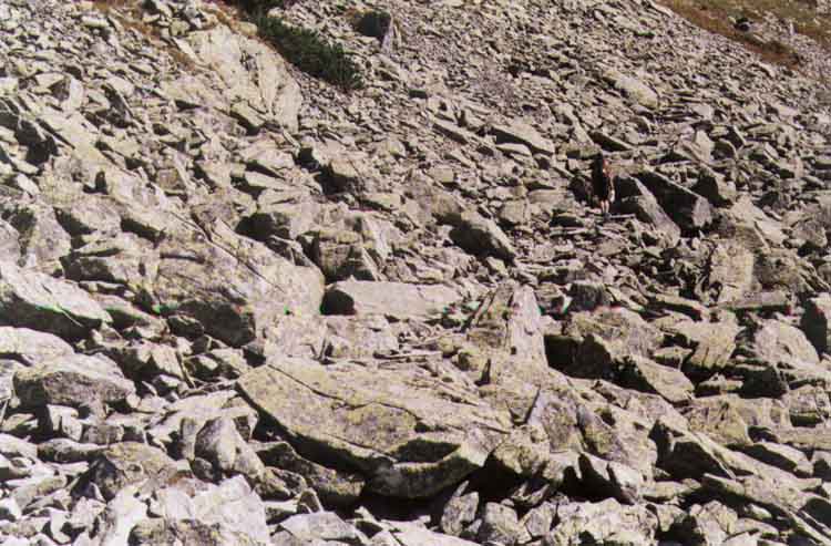 If picture is not shown here, it probably doesnot exist for this quality ... (choose another quality)