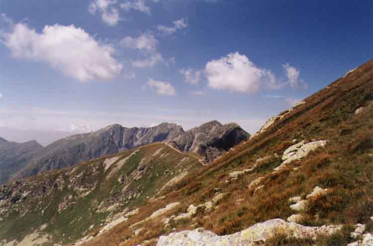 If picture is not shown here, it probably doesnot exist for this quality ... (choose another quality)