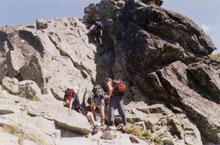 If picture is not shown here, it probably doesnot exist for this quality ... (choose another quality)