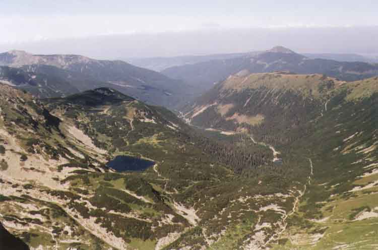 If picture is not shown here, it probably doesnot exist for this quality ... (choose another quality)