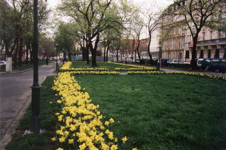 If picture is not shown here, it probably doesnot exist for this quality ... (choose another quality)