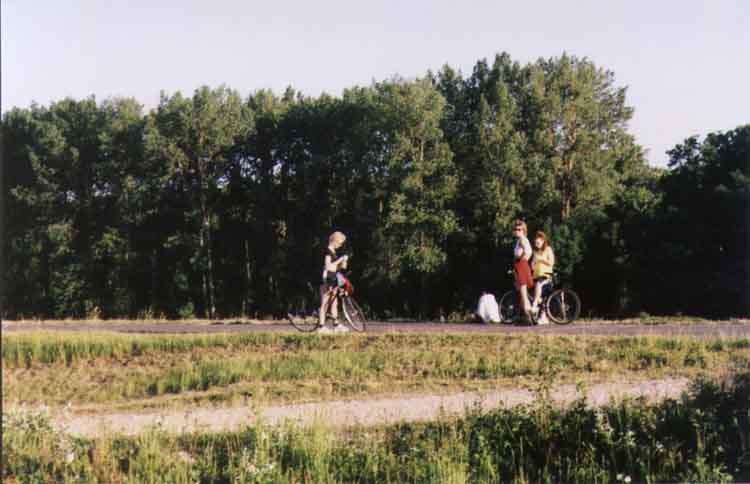 If picture is not shown here, it probably doesnot exist for this quality ... (choose another quality)