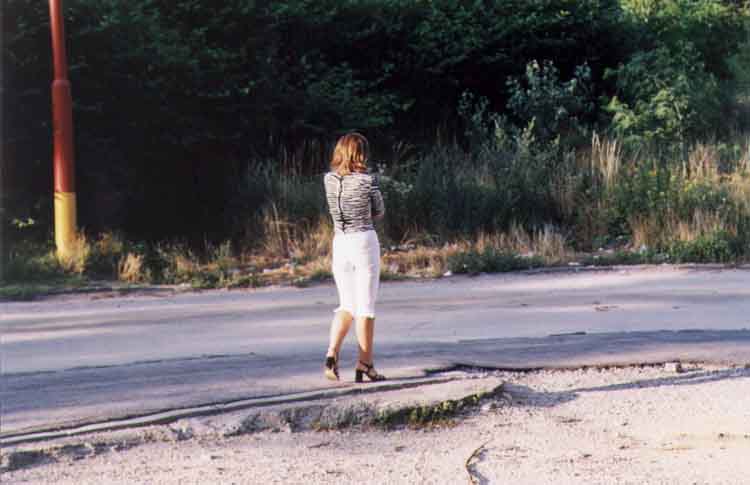 If picture is not shown here, it probably doesnot exist for this quality ... (choose another quality)