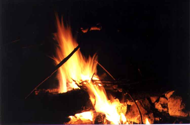 If picture is not shown here, it probably doesnot exist for this quality ... (choose another quality)