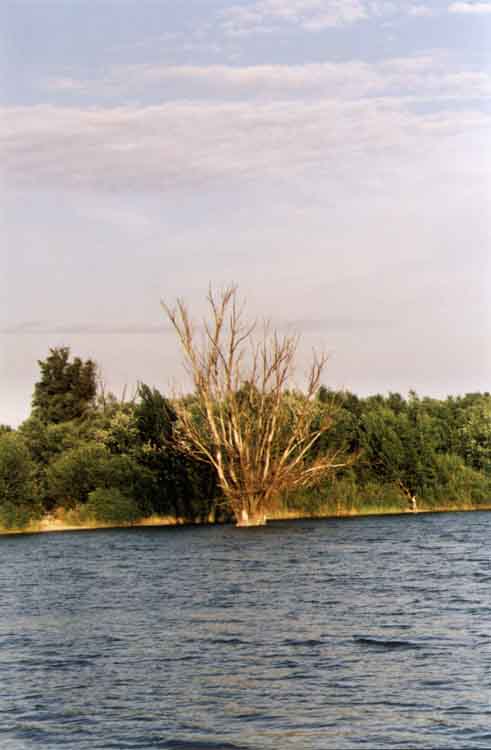 If picture is not shown here, it probably doesnot exist for this quality ... (choose another quality)