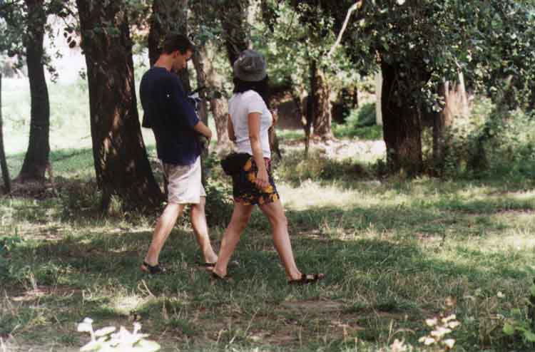 If picture is not shown here, it probably doesnot exist for this quality ... (choose another quality)