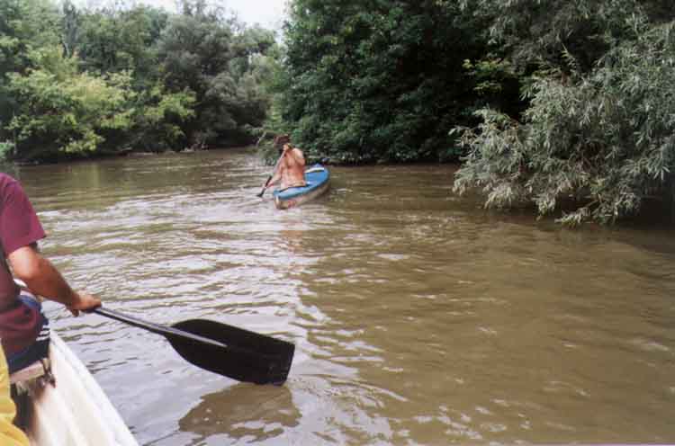 If picture is not shown here, it probably doesnot exist for this quality ... (choose another quality)