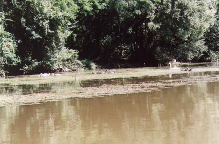 If picture is not shown here, it probably doesnot exist for this quality ... (choose another quality)