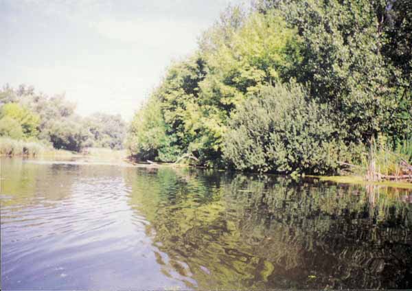 If picture is not shown here, it probably doesnot exist for this quality ... (choose another quality)