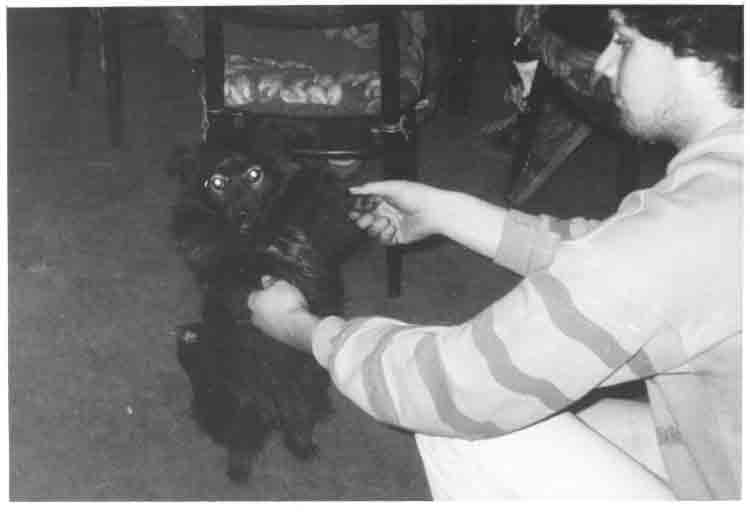 If picture is not shown here, it probably doesnot exist for this quality ... (choose another quality)